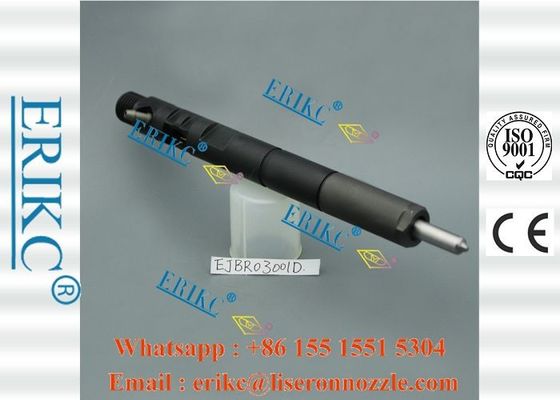 Common Rail For Delp Injectors Ejbr03001d Fuel Pump Dispenser Injector  Ejb R03001d