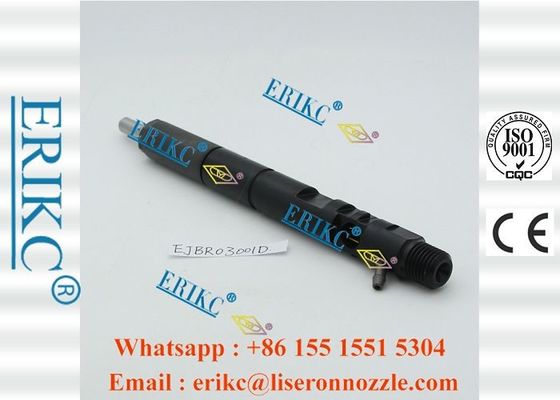 Common Rail For Delp Injectors Ejbr03001d Fuel Pump Dispenser Injector  Ejb R03001d