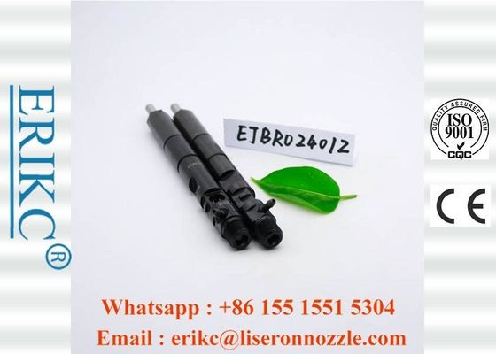 EJBR02401Z CRDI For Delp Diesel Injectors R02401Z Common Rail Injection System  For KIA