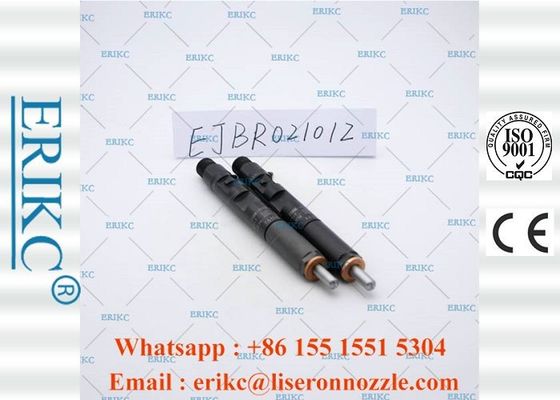 EJBR02101Z For Delp Injection Pump Parts Fuel Pump Dispenser Injector 2101Z