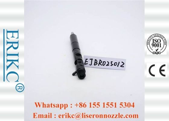 Diesel Original For Delp Injectors Injector Excavator 2501Z EJBR02501Z