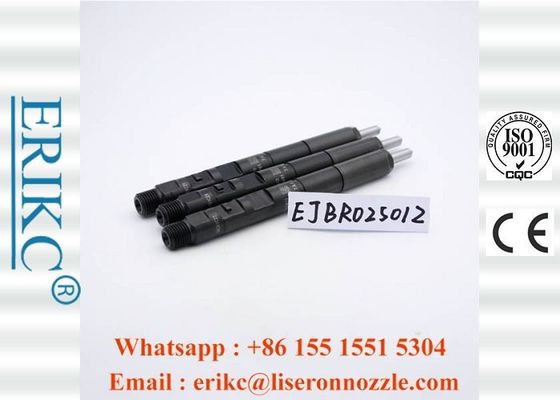Diesel Original For Delp Injectors Injector Excavator 2501Z EJBR02501Z