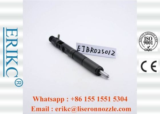 Diesel Original For Delp Injectors Injector Excavator 2501Z EJBR02501Z