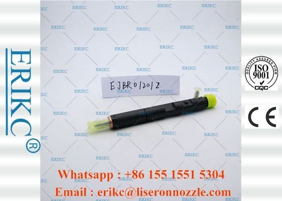 ERIKC Genuine For Delp Injectors Car Oil Diesel Unit Injector EJBR0 1201Z