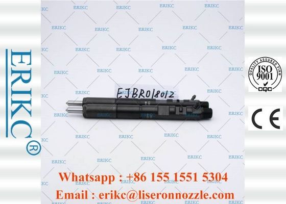 EJBR01801Z Diesel Auto For Delp Common Rail Diesel Injectors 8200049873