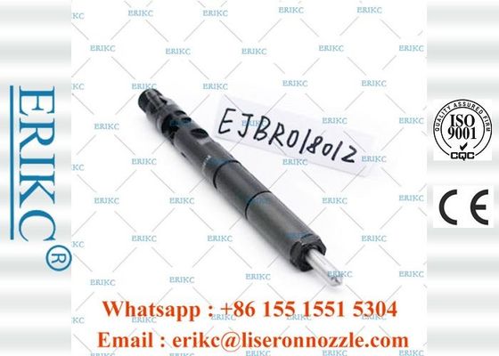 EJBR01801Z Diesel Auto For Delp Common Rail Diesel Injectors 8200049873