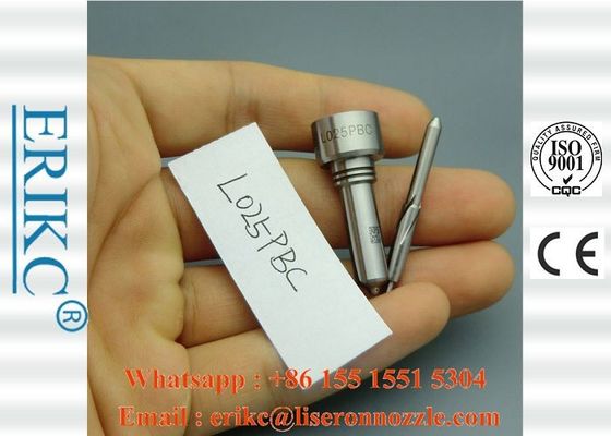 Common Rail For Delp Injector Nozzles L025PBC Fuel Injector System Spray ALLA152FL025