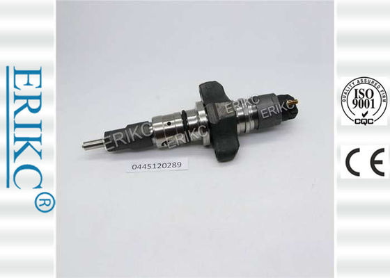 0445120289 Oil For BOS Injectors 0 445 120 289 Injection Rebuild 0445 120 289