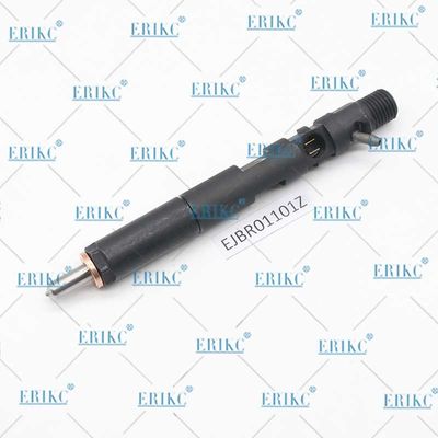 ERIKC EJBR01101Z Common Rail Injection System EJBR0 1101Z Diesel Injector EJB R01101Z For Delp