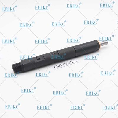 EJBR02001Z Diesel Fuel Injector EJB R02001Z Common Rail Injector EJBR0 2001Z For Delp