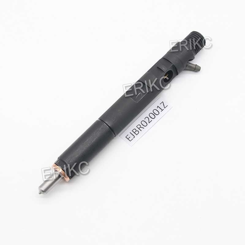 EJBR02001Z Diesel Fuel Injector EJB R02001Z Common Rail Injector EJBR0 2001Z For Delp